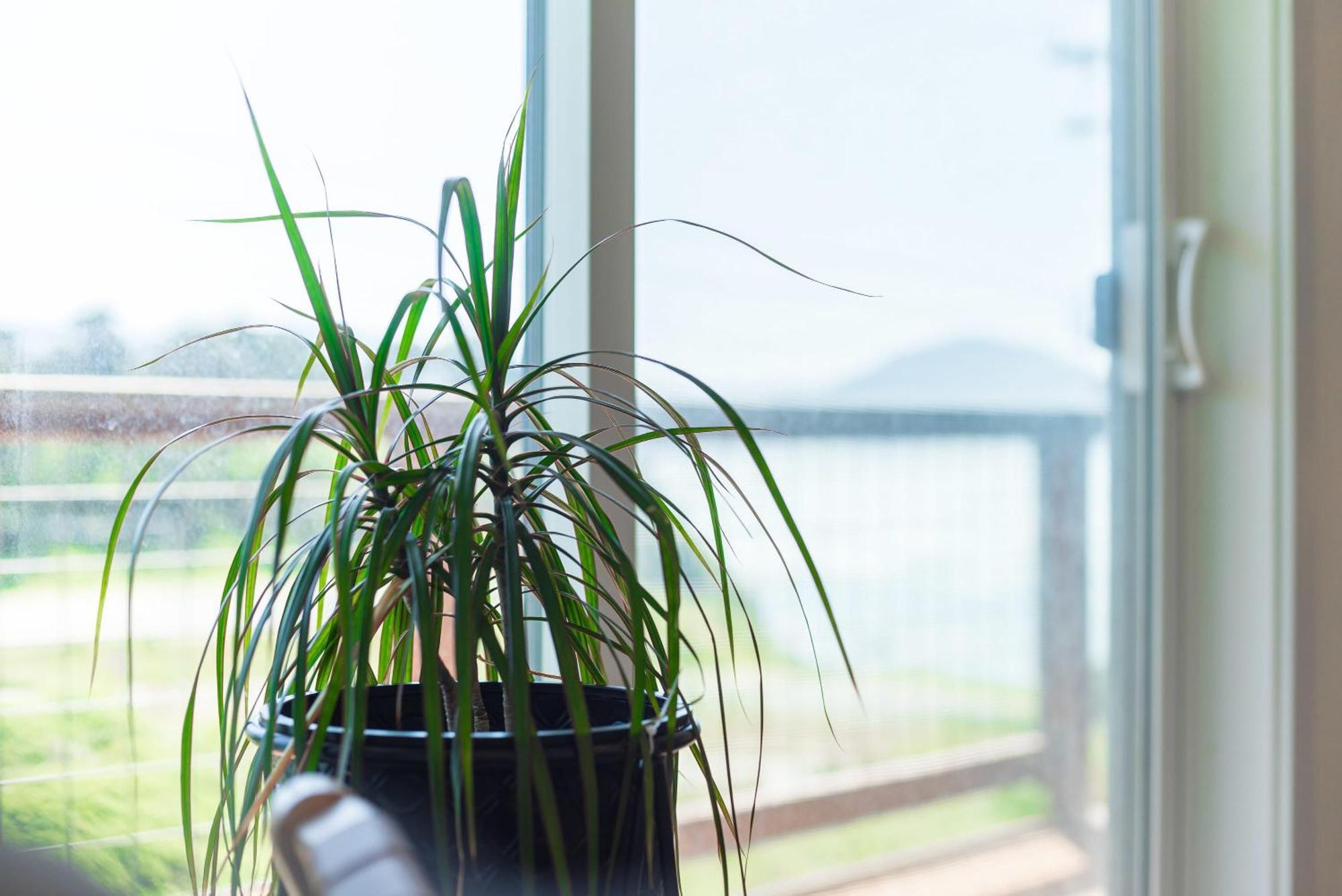#Stayinmydistrict Oceanview Studio Loft Порт Орфърд Екстериор снимка